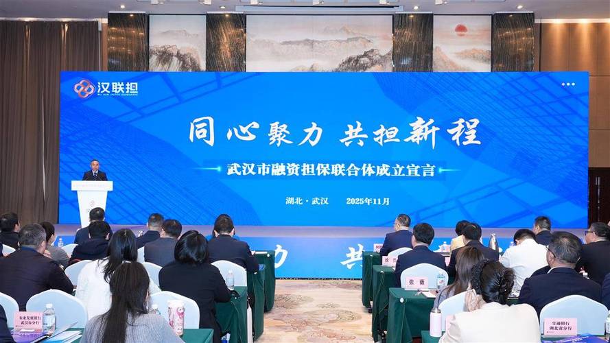 武漢市融資擔(dān)保聯(lián)合體正式揭牌